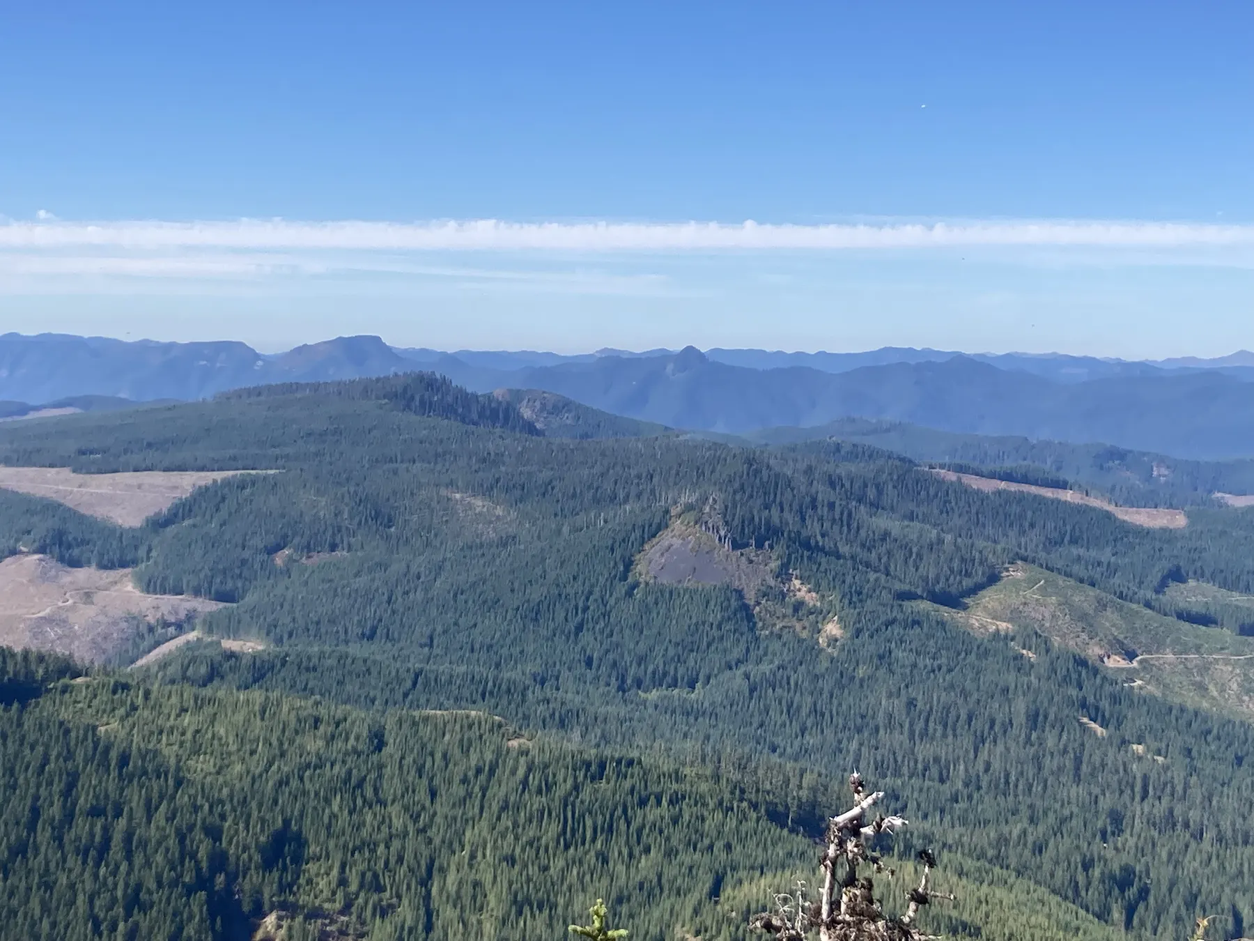 Forested ridges fading into the distance from a mountain trail overlook